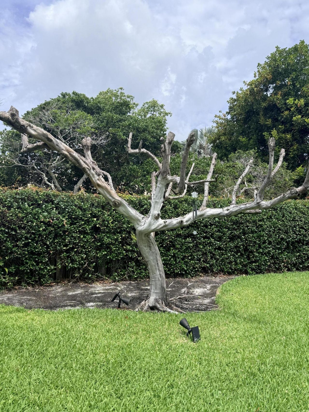 3509 NW 26th Court, Boca Raton, FL 33434 Photo