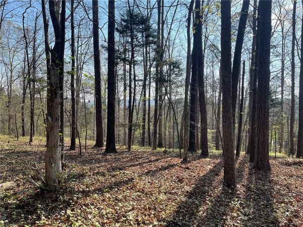 TR 1B Chalcrest Way , Cave Spring, GA 30124