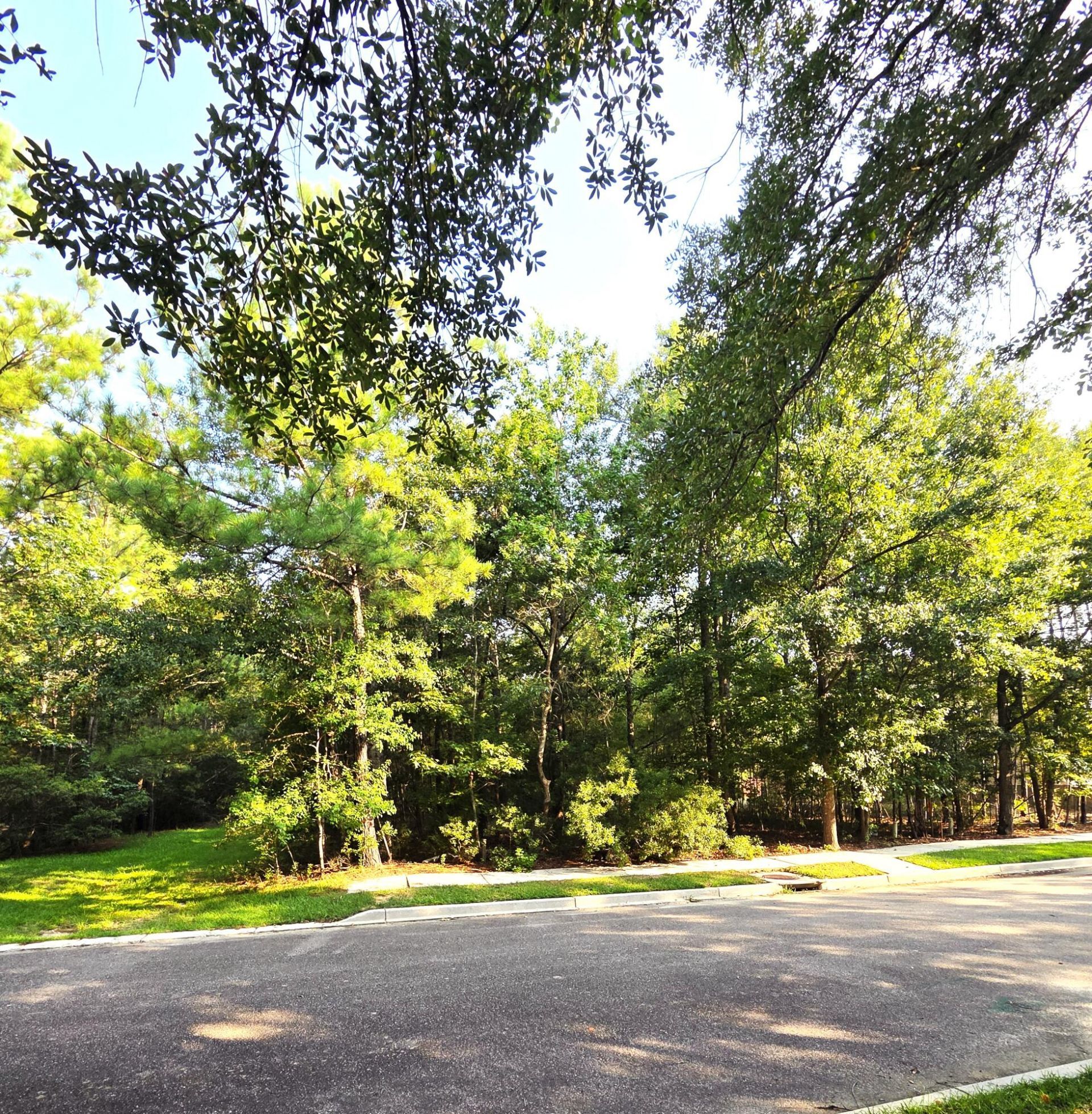 112 Duany Drive Photo 2