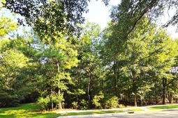 112 Duany Drive photo 4