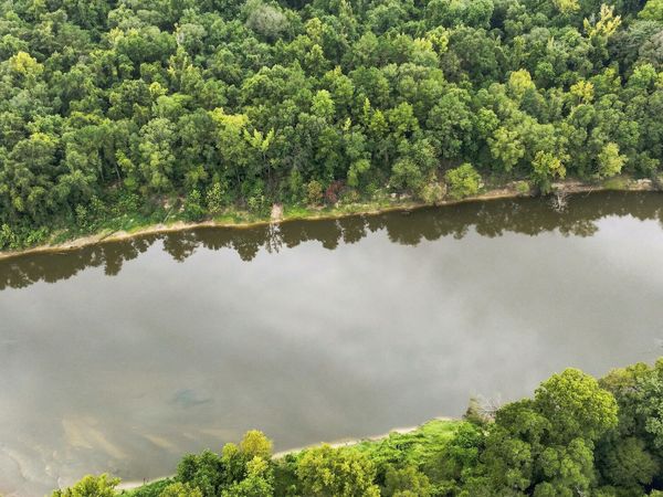 175 ac +- Highway 198, Beaumont, MS 39423