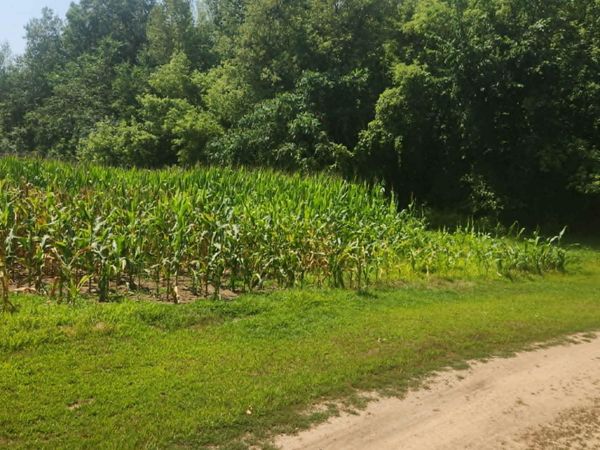 xxx 220th Ave Lot 3, New Richmond, WI 54017