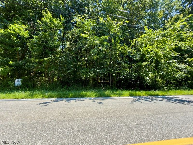 48091 N Ridge Road , Amherst, OH 44001 Photo 10
