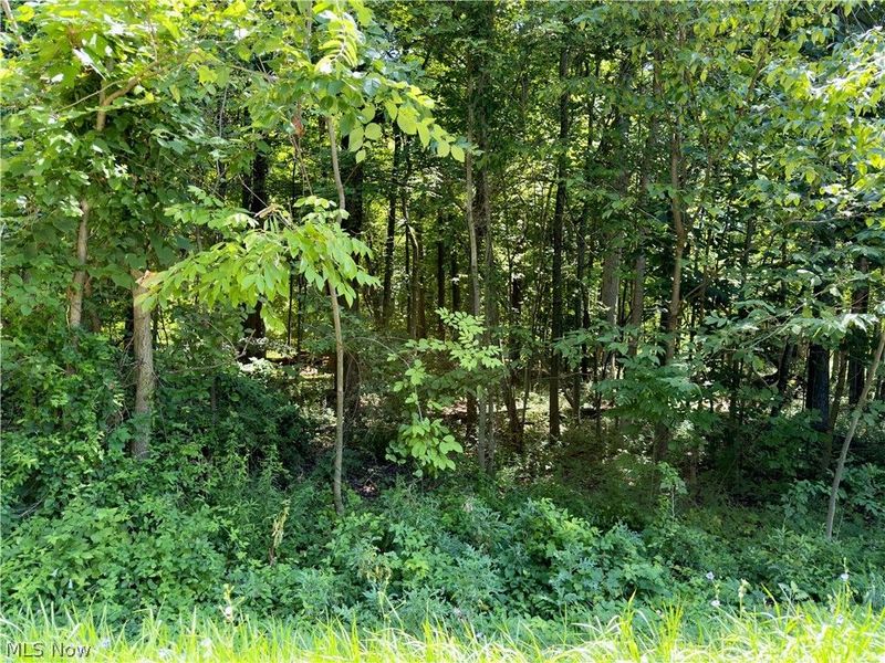 48091 N Ridge Road , Amherst, OH 44001 Photo 8