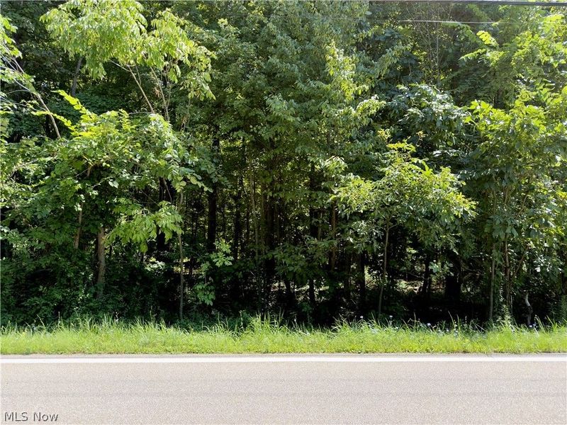 48091 N Ridge Road , Amherst, OH 44001 Photo 9