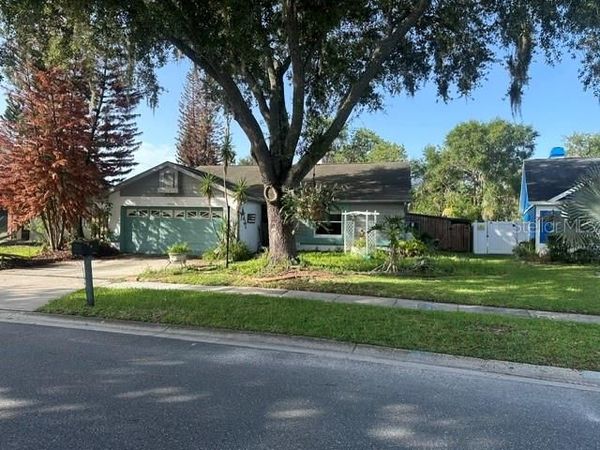 4729 S DAWNMEADOW COURT , PLANT CITY, FL 33566