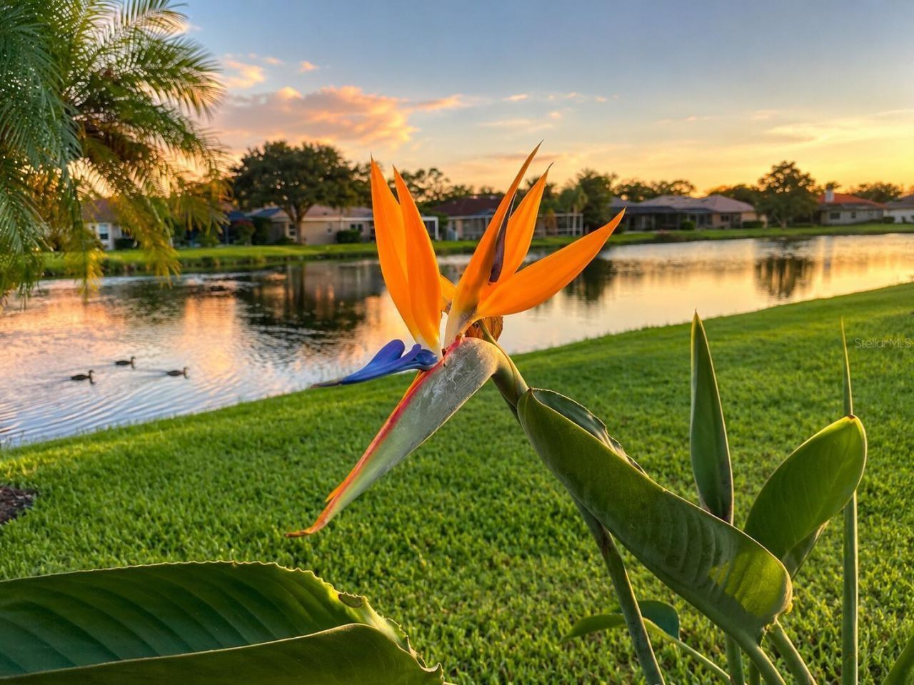 7468 Roxye Lane, Sarasota, FL 34240 Photo