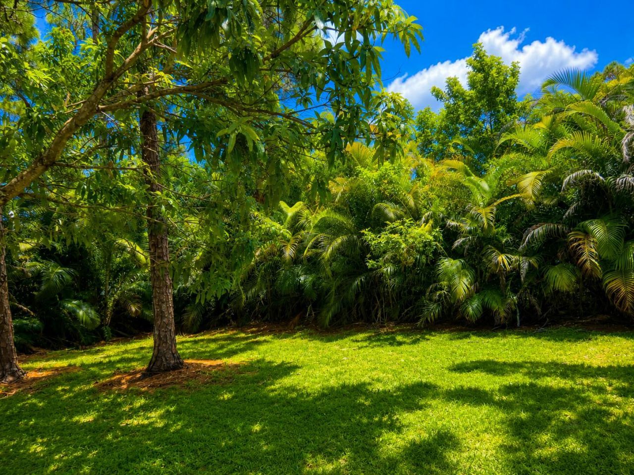 15057 60th Place N, The Acreage, FL 33470 Photo