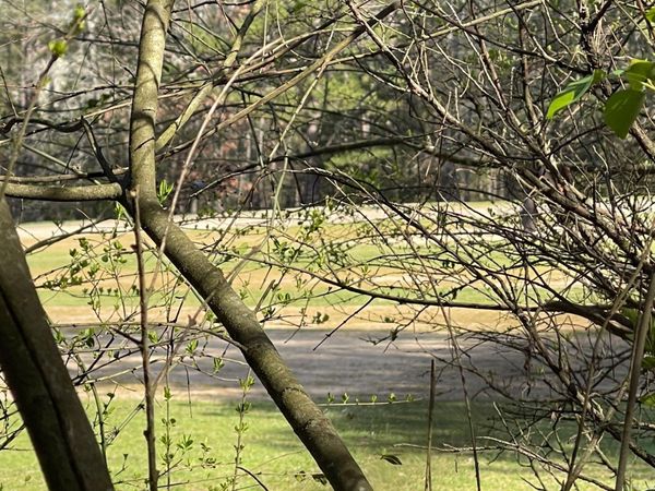 Lot 152 Mountain Ranch Drive , Fairfield Bay, AR 72088