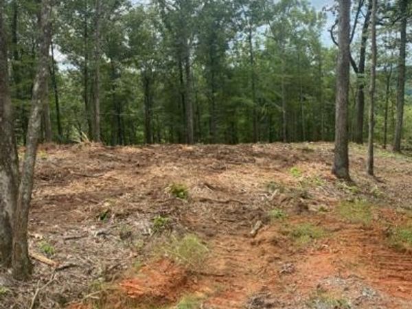 LOT 56 Ridge Line Trail , Ellijay, GA 30540