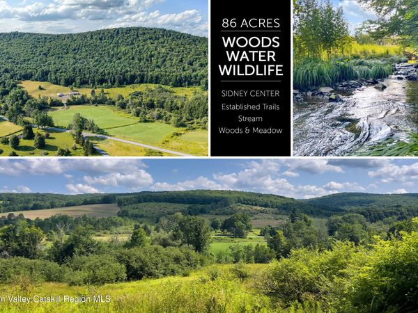 Lot 11 Franklin Depot Road, Sidney, NY 13838