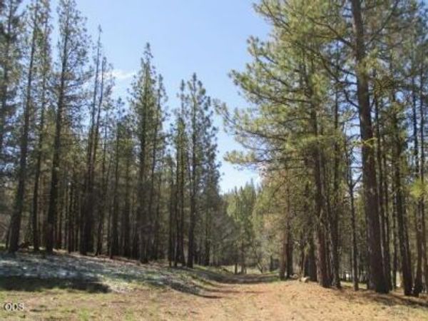 Partin, Unit Lot 3, Beatty, OR 97621