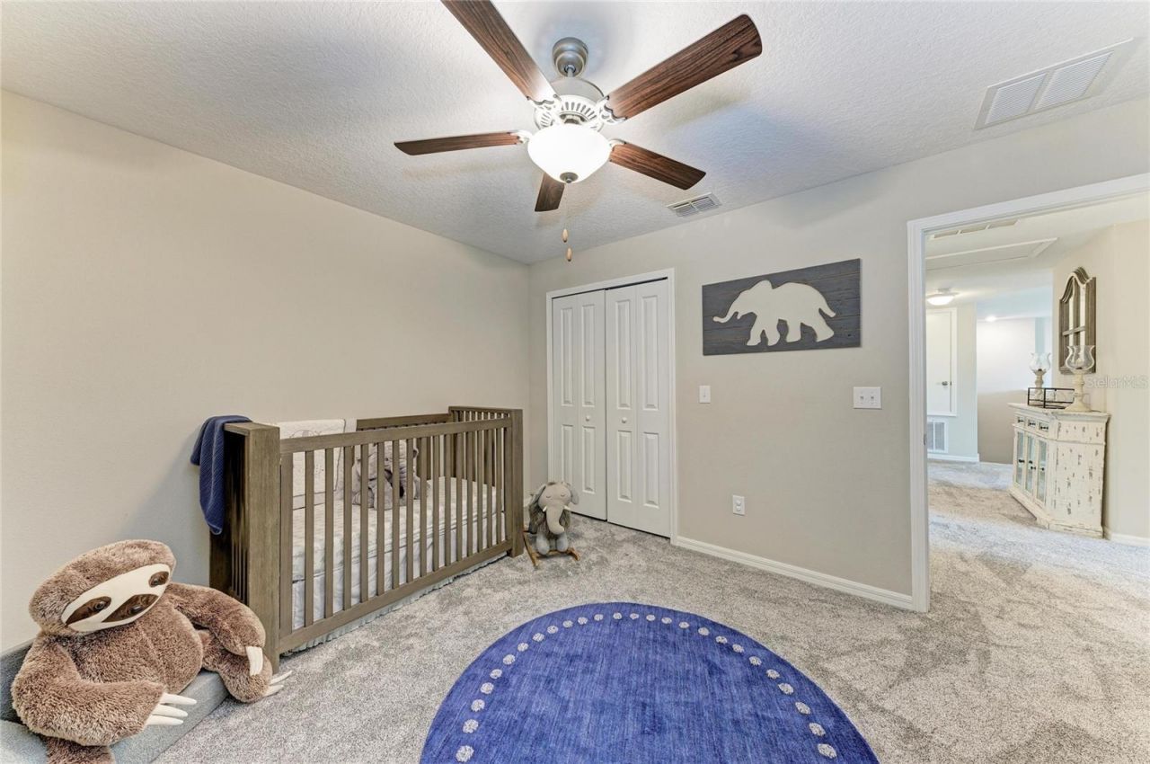 5512 Olano Street, Palmetto, FL 34221 Photo