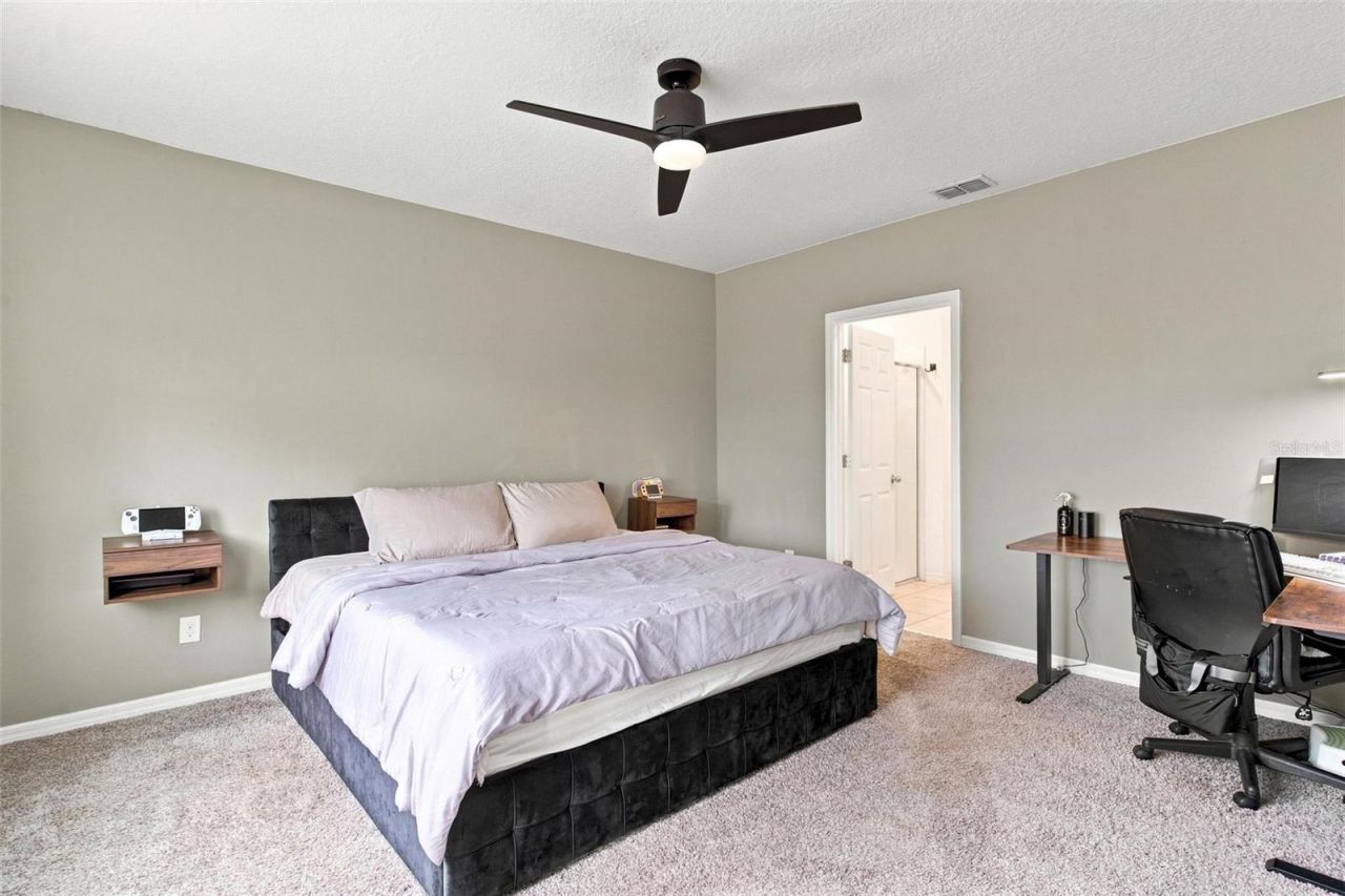 29460 Caspian Street, Leesburg, FL 34748 Photo