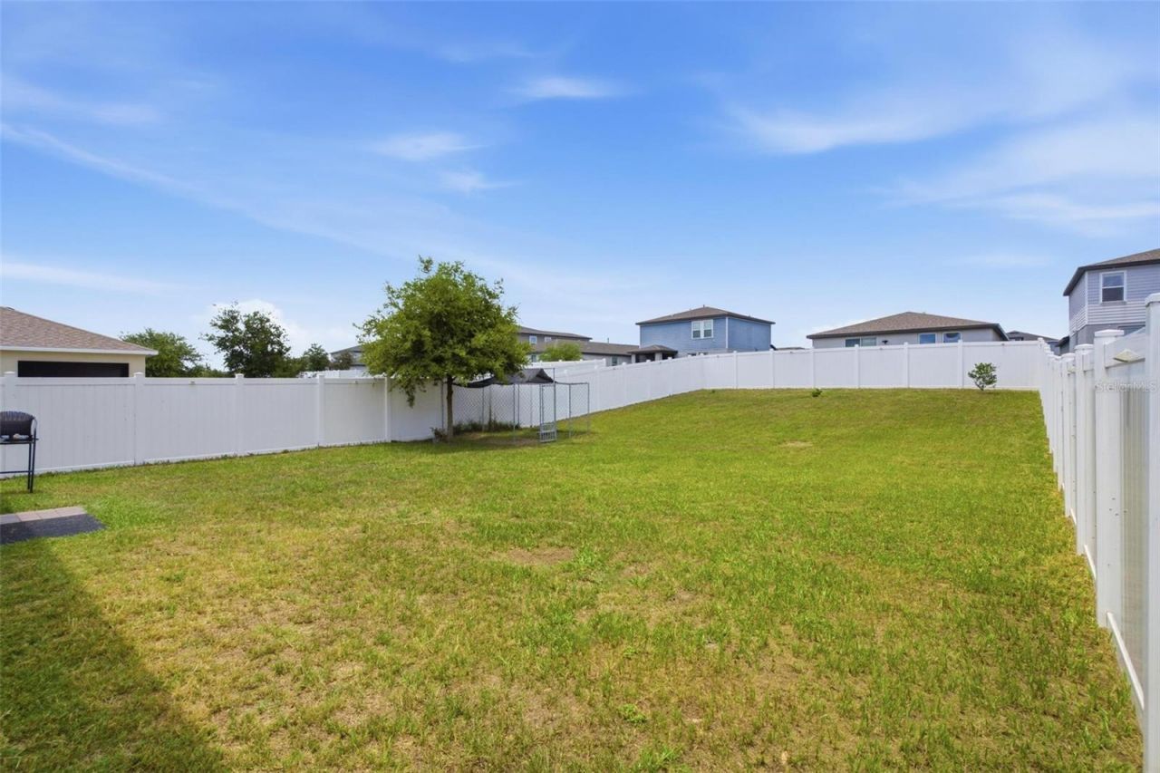 29460 Caspian Street, Leesburg, FL 34748 Photo