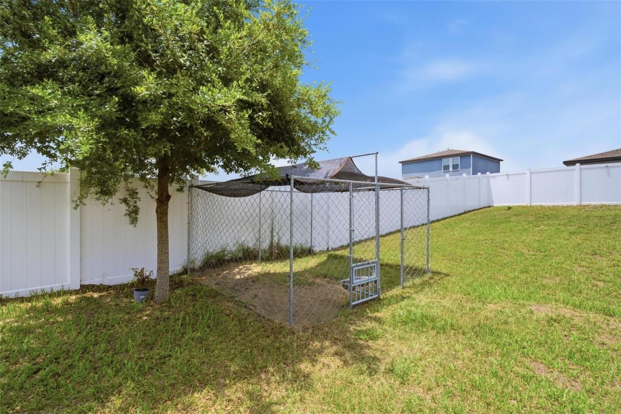 29460 Caspian Street, Leesburg, FL 34748 Photo