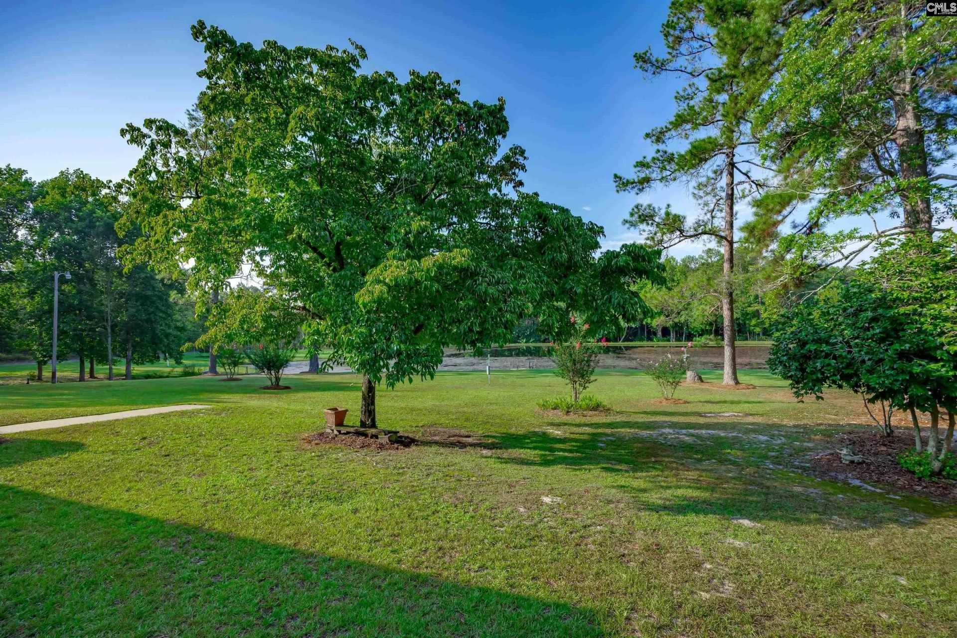 339 Clermont Lakes Drive Photo 10