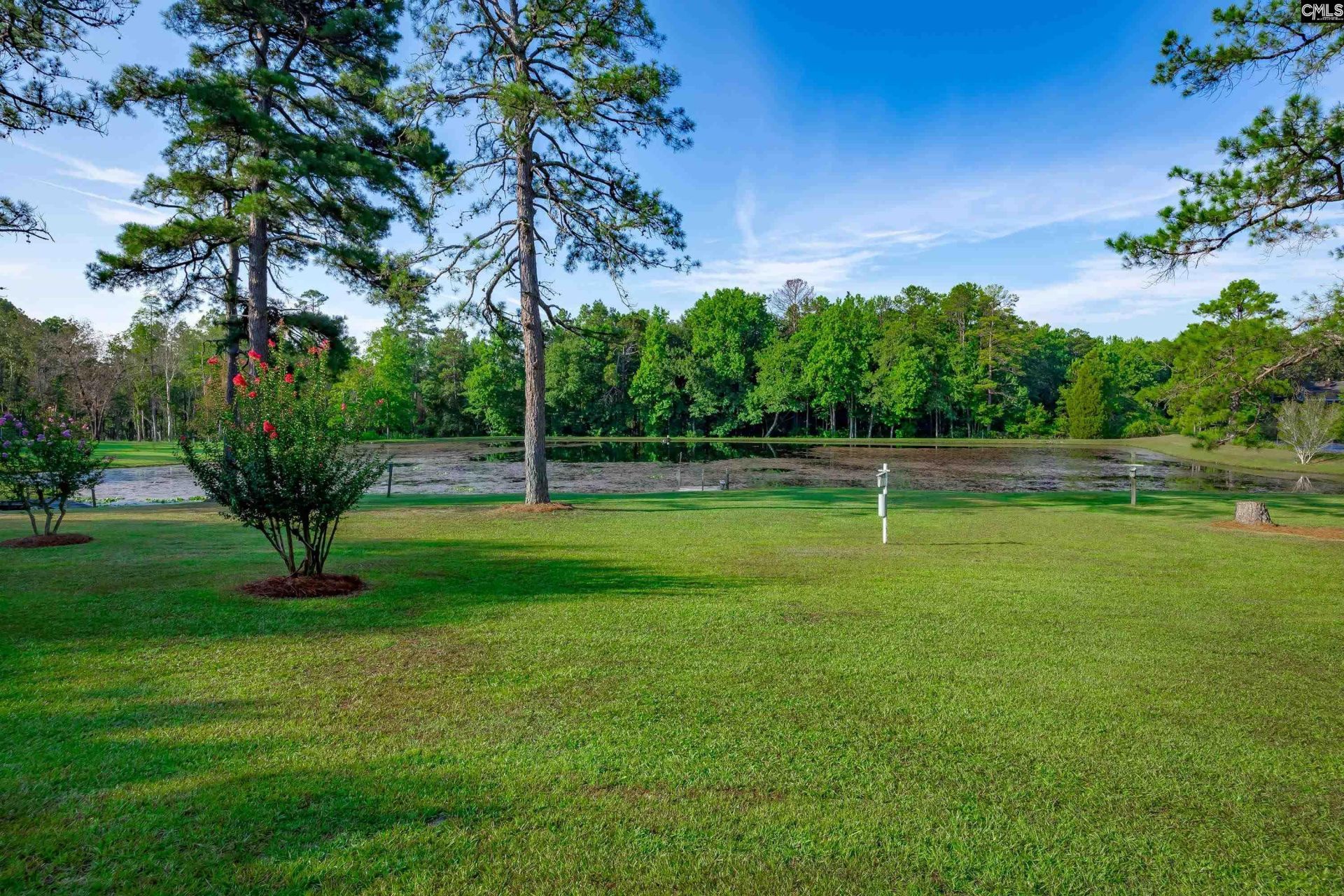 339 Clermont Lakes Drive Photo 9