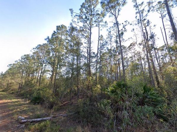 1054 ROBIN STREET , LAKE PLACID, FL 33852