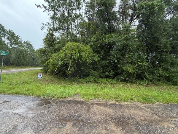 482 W CABOT LANE , CITRUS SPRINGS, FL 34434