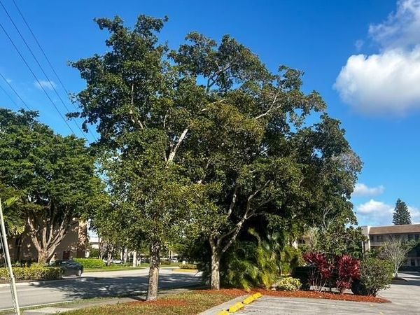 10332 SUNRISE LAKES Boulevard, Unit 111, Sunrise, FL 33322