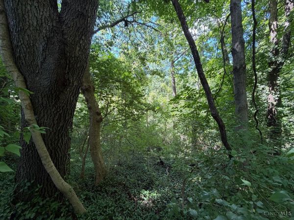 2.78ac West Street, Bethel, OH 45106