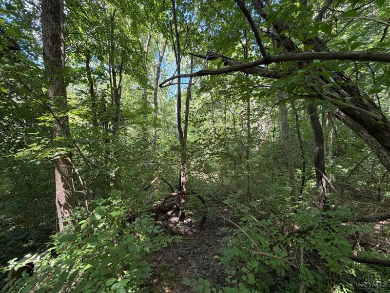 2.78ac West Street, Bethel, OH 45106 Photo 2
