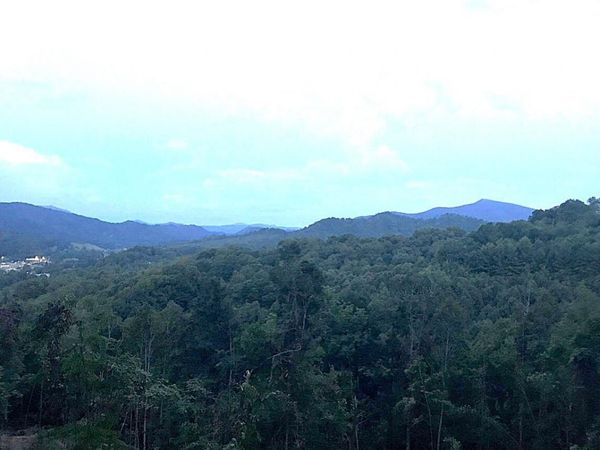 Tbd Laurel Highlands Road, Roan Mountain, TN 37687