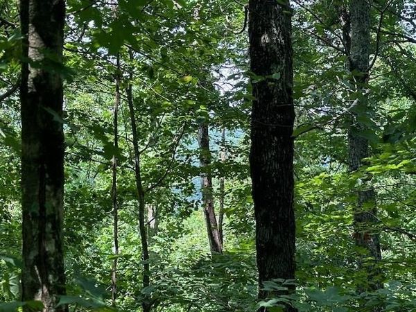 Lot 89 Bobcat Lane, Wilder, TN 38589