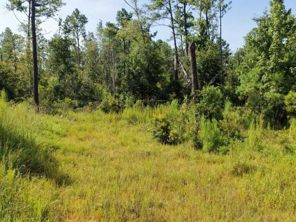 000 SW TOWER ROAD, Madison, FL 32340