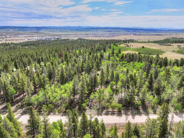 198 Green Bottle Circle , Fairplay, CO 80440