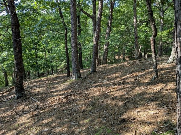 TBD E Mountain Street, Eureka Springs, AR 72632