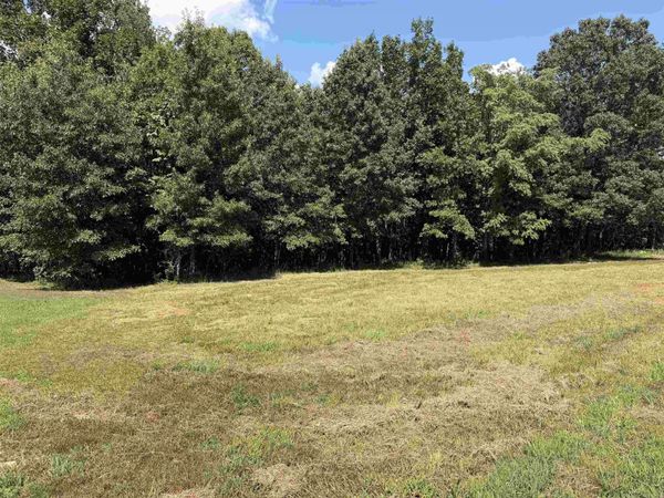 000 Caddy Cove Ln. Lot 34 , Mountain View, AR 72560