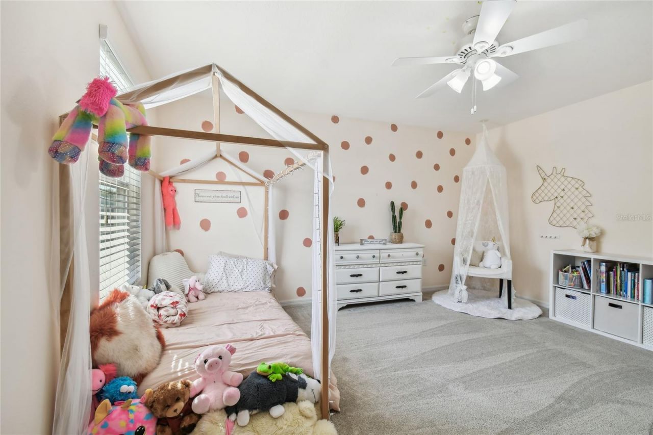 3416 San Moise Place , Plant City, FL 33567 Photo
