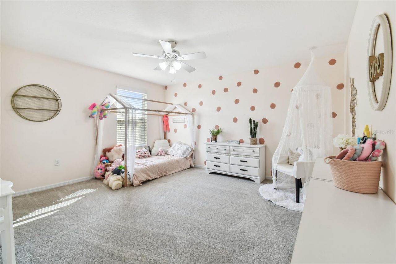 3416 San Moise Place , Plant City, FL 33567 Photo