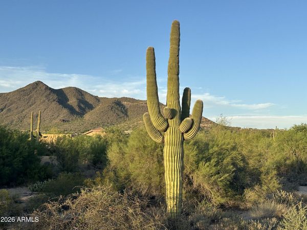 33000 N CAVE CREEK Road, Unit -, Cave Creek, AZ 85331
