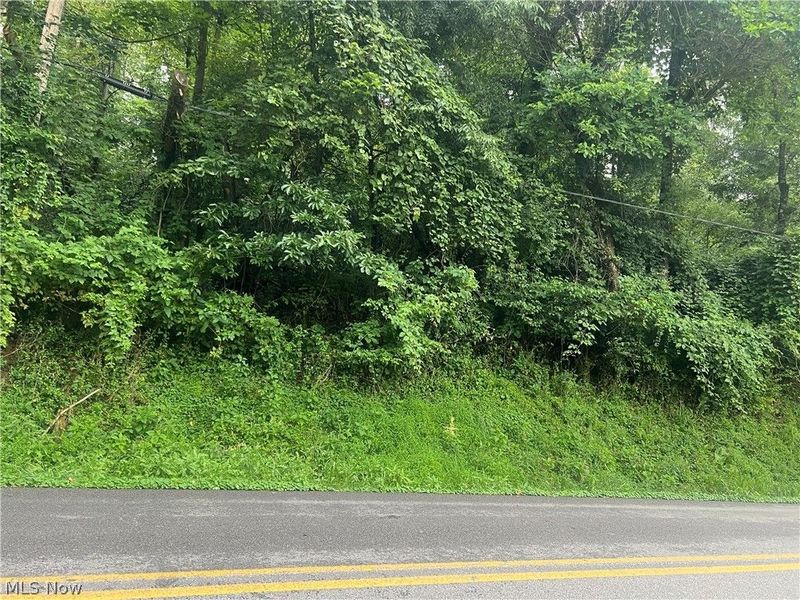 Country Club Road , Cadiz, OH 43907 Photo 6