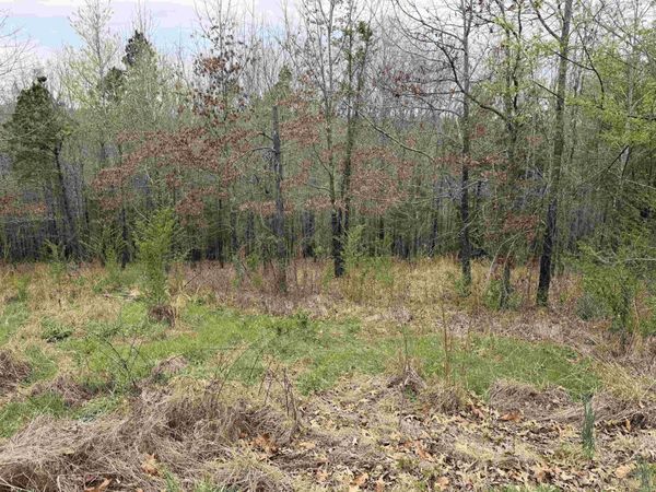 000 Birdie Ln. Lot 13 , Mountain View, AR 72560