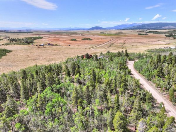 242 Green Bottle Circle , Fairplay, CO 80440