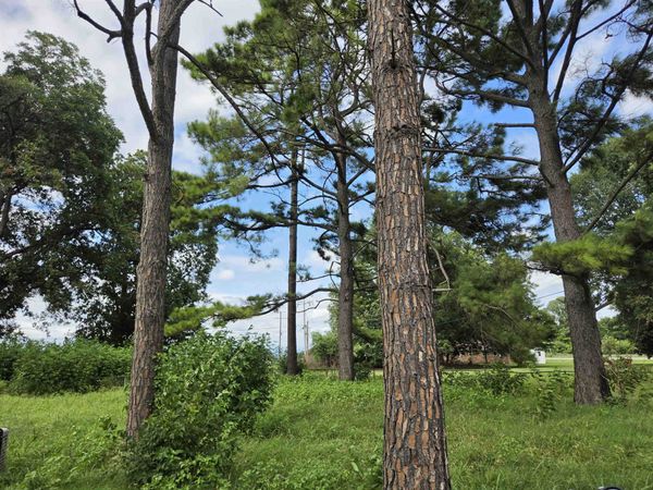 3203 Opal Street, Campbell Station, AR 72473