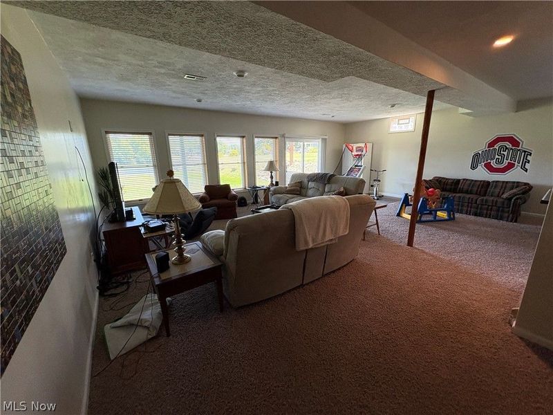 1047 Lode Star Drive, Roaming Shores, OH 44085 Photo 30
