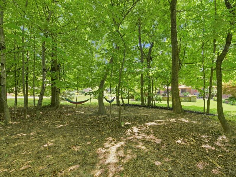 6226 Swanbrook Lane, Delhi Twp, OH 45233 Photo 59