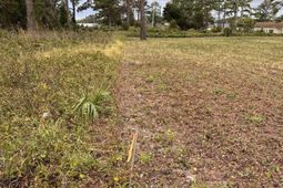 Lot 4 Alder St. photo 4