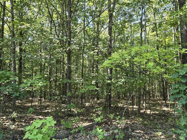 406-19 Guinea Ridge Road, Gilmanton, NH 03237