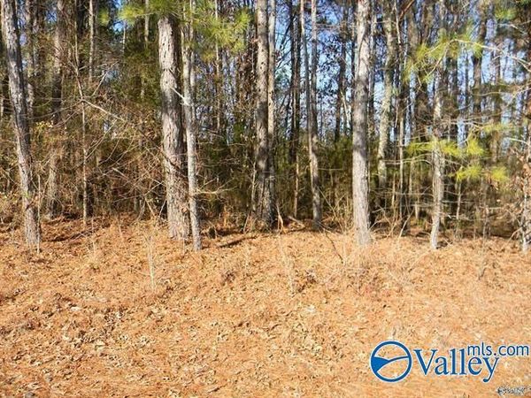 18.52 Acres County Road 41, Gaylesville, AL 35973
