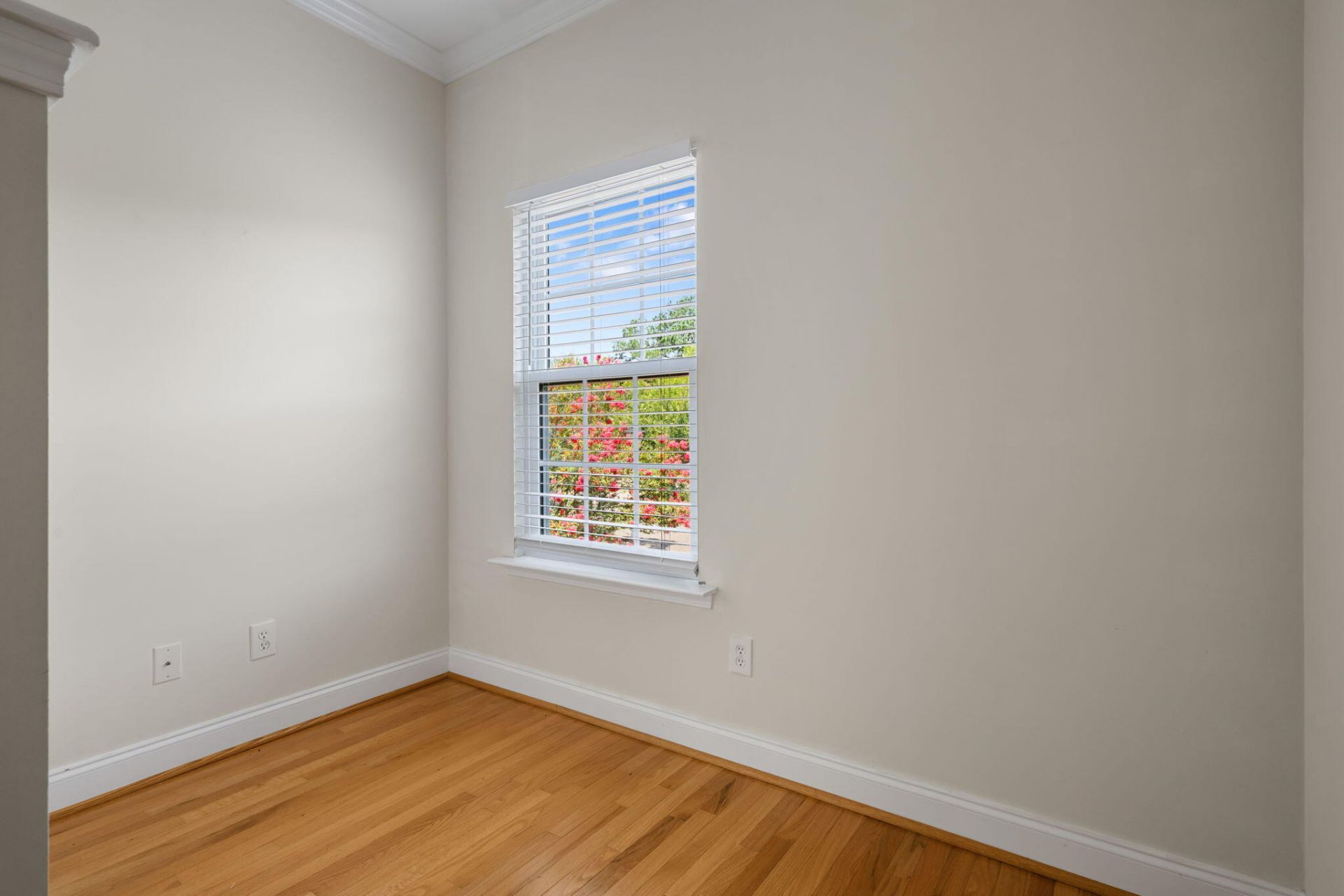 4102 Babbitt Street Photo 18