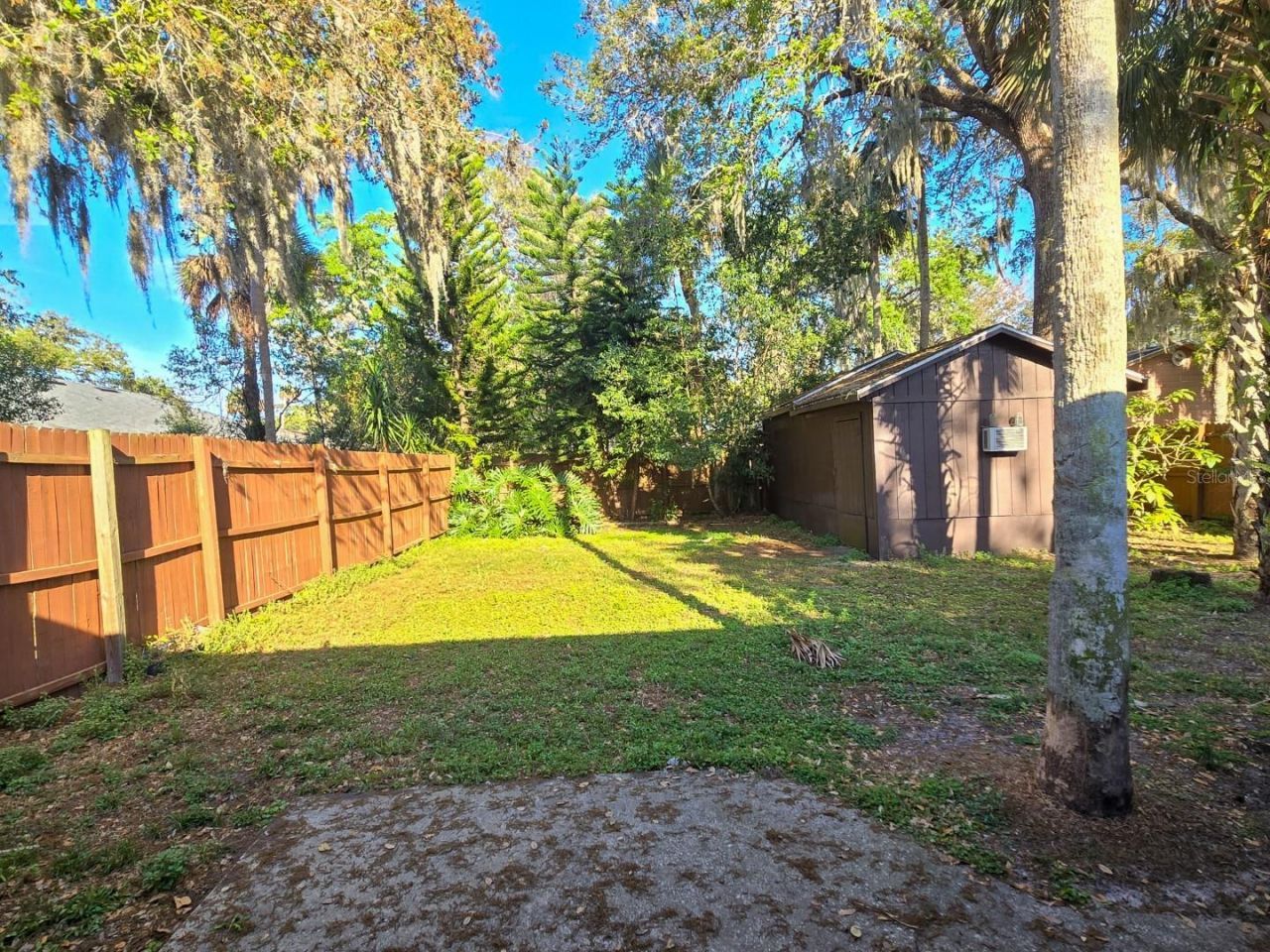 1537 Mango Tree Drive, Edgewater, FL 32132 Photo