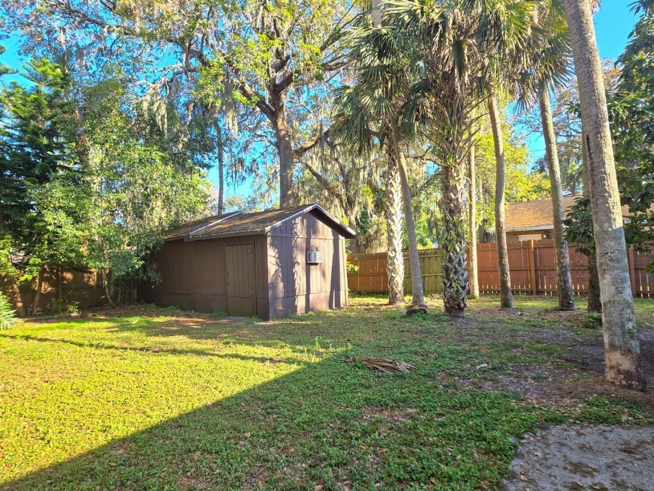 1537 Mango Tree Drive, Edgewater, FL 32132 Photo