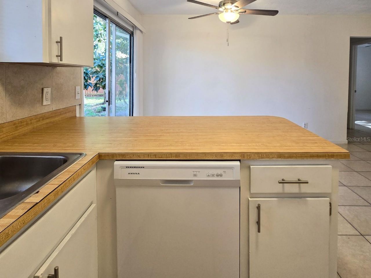 1537 Mango Tree Drive, Edgewater, FL 32132 Photo