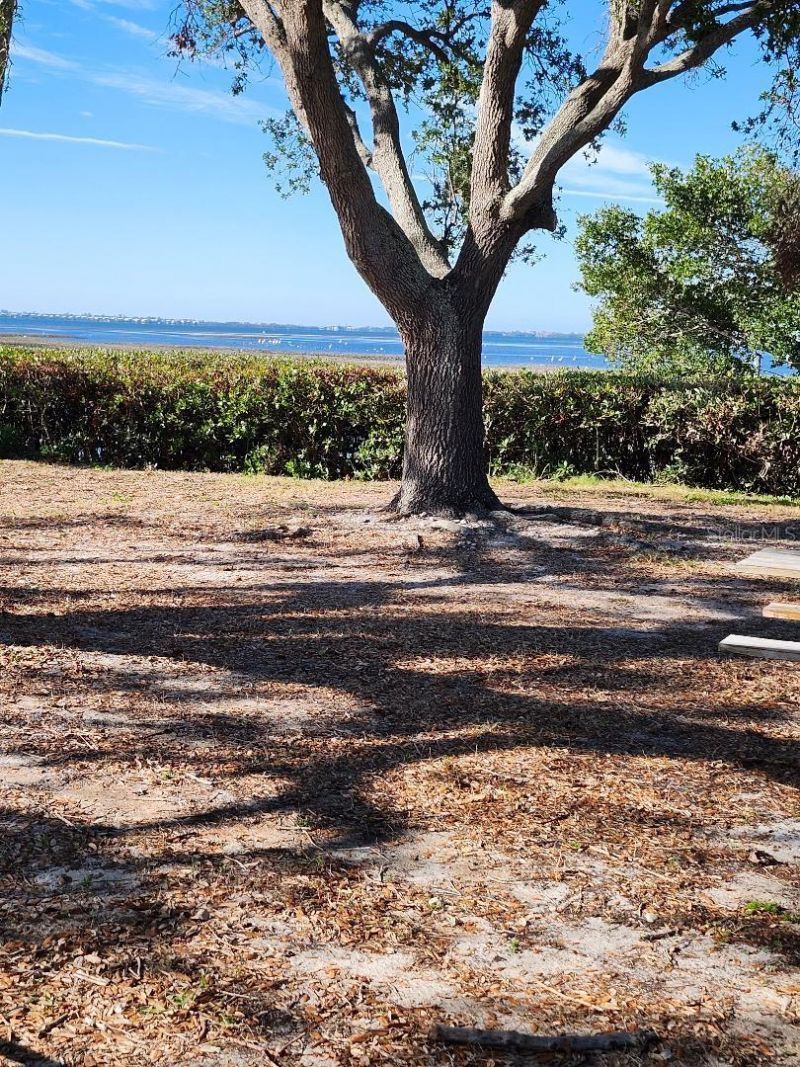 2104 Ohio Avenue, Bradenton, FL 34207 Photo